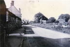 1950s