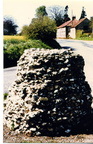 The Cross 1981